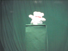 180 Degrees _ Picture 9 _ Small White Teddy Bear.png